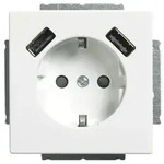 Busch-Jaeger SCHUKO-2x USB Steckdose 20 EUCB2USB-84