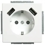 Busch-Jaeger SCHUKO-2x USB Steckdose 20 EUCB2USB-884