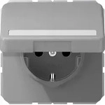 Jung SCHUKO-Steckdose 16A 250V CD 1520 BFNAKL GR