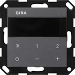 Gira UP-Radio IP 232028