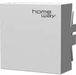 Homeway Access Point HW-INAP6TORW