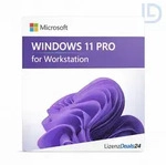 Microsoft Windows 11 Pro for Workstations | Dauerlizenz | High-Performance
