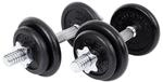 SONGMICS Hanteln aus Gusseisen SYL40T