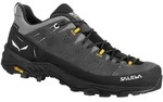 Salewa ALP TRAINER 2 GTX M Herren Wanderschuhe Trekkingschuhe Low schwarz 421&frasl;2