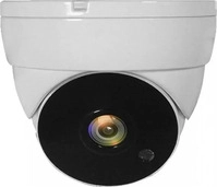 LevelOne ACS-5302, LevelOne ACS-5302 - &Uuml;berwachungskamera - Kuppel - wetterfest -