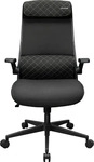 COUGAR CGR-STD-BLB, COUGAR Gaming/Office-Stuhl Stryder - ergonomischer