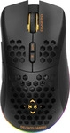 Deltaco GAM-120, Deltaco DM220 RGB schwarz (Kabellos)