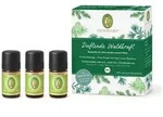 PRIMAVERA&reg; Set Duftende Waldkraft