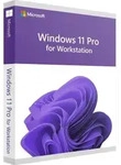 Windows 11 Pro for Workstation | ESD
