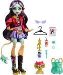 Monster High HYV58-UNIT, Monster High Jinafire Long Doll Mehrfarbig Kinder