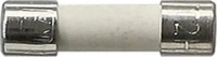 Gira 049806, Sicherung T2 H 250 V 049806 4010337498063 Gira 1 STK