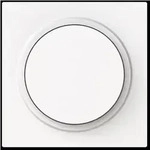 Busch-Jaeger Zentralscheibe Dimmer m. Drehknopf 6540-44M-102