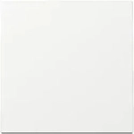 Gira Wippe Reinwei&szlig; 329603