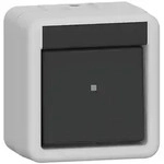 Gira Wippschalter AusWe WG AP Grau 310630