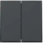 Gira Wippe 2f gerade Anthrazit 349567