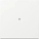 Gira Wippe Kontrollf. Reinwei&szlig; 329003
