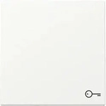 Gira Wippe Symb. T&uuml;r Reinwei&szlig; m 328727