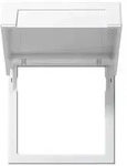 Gira Montagerahmen 45x45 rws matt 265827