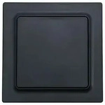 Eltako Funktaster ant/matt 55x55mm F2T55E-am