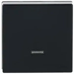 Busch-Jaeger Bedienelement Mem-Tast. 6543-81-101