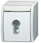 Busch-Jaeger Schl&uuml;sselschalter 2733 SLW-54