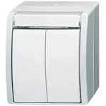 Busch-Jaeger Doppeltaster 2 Schliesser 2621 WN-54-205-101