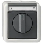 Gira Jalousietaster/Schalter grAP-WG 015430