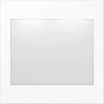 JUNG LED-Lichtsignal aws mit ws und bl LEDs LS 539 WW LEDWB