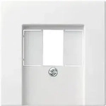 Gira Zentralabdeckung rws-gl f.TAE-Anschlu&szlig;dose 027603