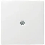 Gira Zentralpl.Schnurabl. rws System55 027427