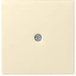 Gira Zentraleinsatz cws-gl f.Schnurableitung 027401
