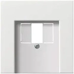 Gira Zentralplatte TAE rws-gl 0276112