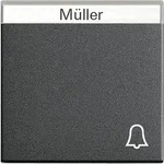 Gira Wippe Klingel anth m.Schriftf.,System55 067328