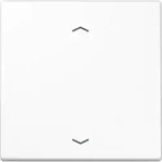JUNG Wippe Symbole aws f&uuml;r Taster LS 990 P WW