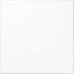 JUNG Blind-Abdeckung aws kompl.mit Tragring LS 994 B WW