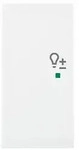 Busch-Jaeger Wippe aws Busch-balance SI 6234-21-914