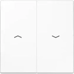 JUNG Wippe Symbole aws f&uuml;r Taster LS 995 P WW