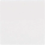 Busch-Jaeger Wippe aws Busch-balance SI 2506-914