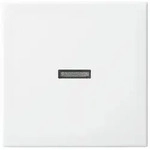 Busch-Jaeger Wippe aws Busch-balance SI 1789 N-914