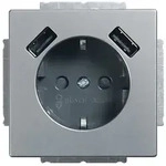 Busch-Jaeger SCHUKO-2x USB Steckdose 20 EUCB2USB-866