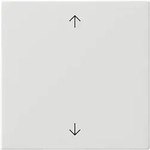 Gira Wippe 1-fach Reinwei&szlig; 538903