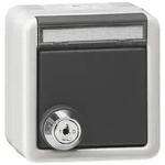 Gira Steckdose KD Grau Schloss gleich 456930