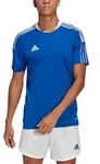 adidas Tiro 21 Trainingsoberteil kurzarm blau S