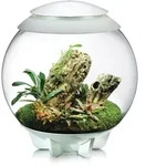biOrb Nano-Terrarium AIR 60 f&uuml;r Tropenpflanzen wei&szlig;