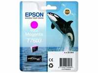 Epson T7603, Epson Tintenpatrone T7603 magenta C13T76034010 1.300 Seiten, Epson
