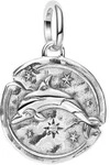 Pandora 794807C01 Medaillon-Charm Anh&auml;nger Silber Delfin