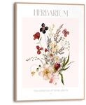 Bild HERBARIUM