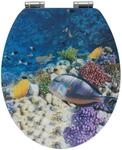 WC-Sitz FISH