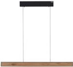 Pendelleuchte PURE E-MOTION
