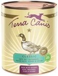 Terra Canis CLASSIC &ndash; Ente mit Naturreis, Roter Bete, Birne und Sesam 6x800g